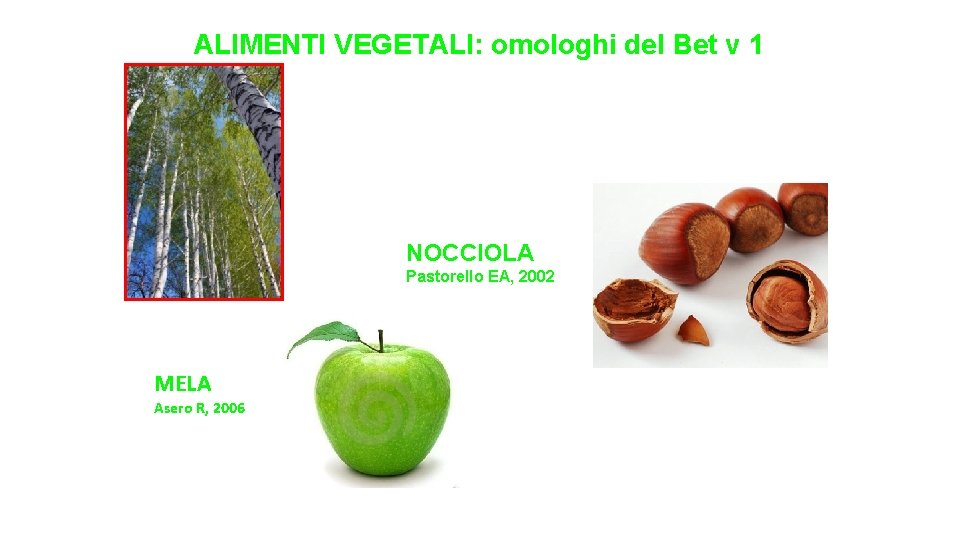 ALIMENTI VEGETALI: omologhi del Bet v 1 I trattamenti termici industriali eliminano l’allergenicità degli