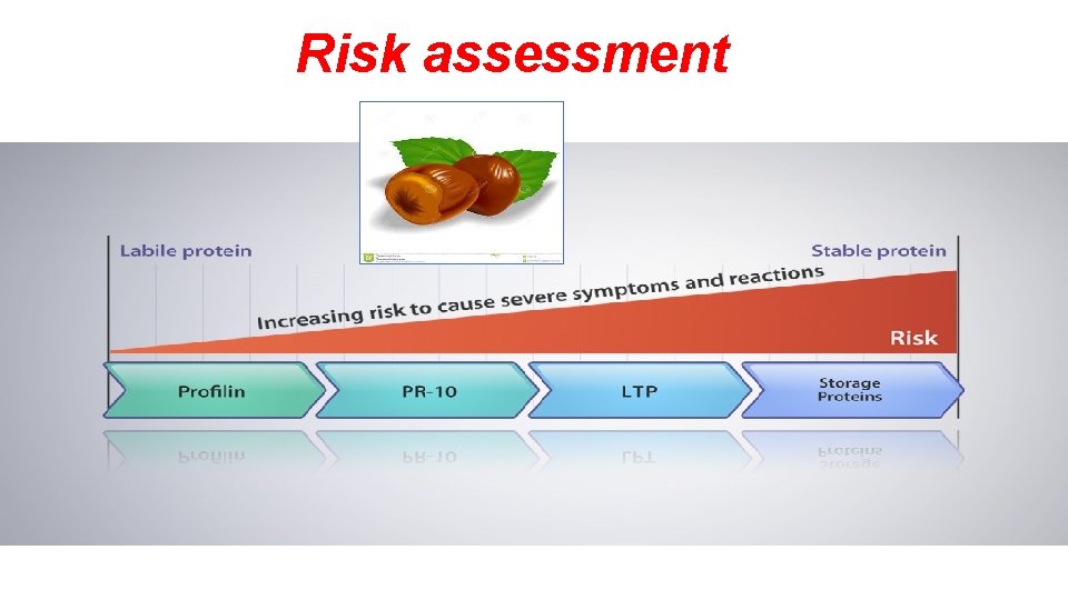 Risk assessment 