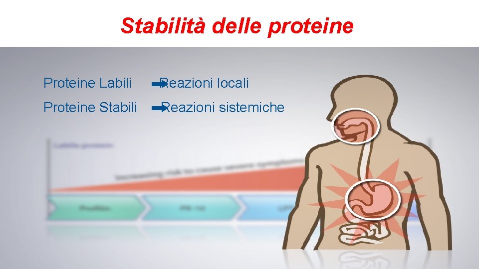 Stabilità delle proteine Proteine Labili Reazioni locali Proteine Stabili Reazioni sistemiche 