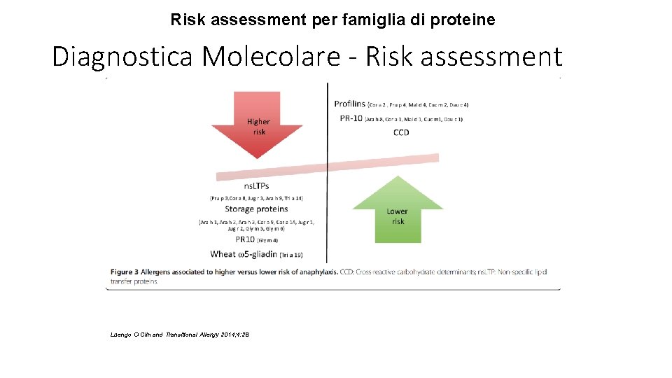 Risk assessment per famiglia di proteine Diagnostica Molecolare - Risk assessment Luengo O Clin