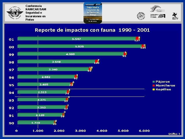 Conferencia NAM/CAR/SAM Seguridad e Incursiones en Pistas Seguridad e Incursión de la Fauna en