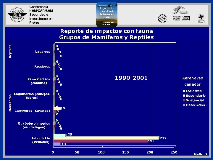 Conferencia NAM/CAR/SAM Seguridad e Incursiones en Pistas Seguridad e Incursión de la Fauna en