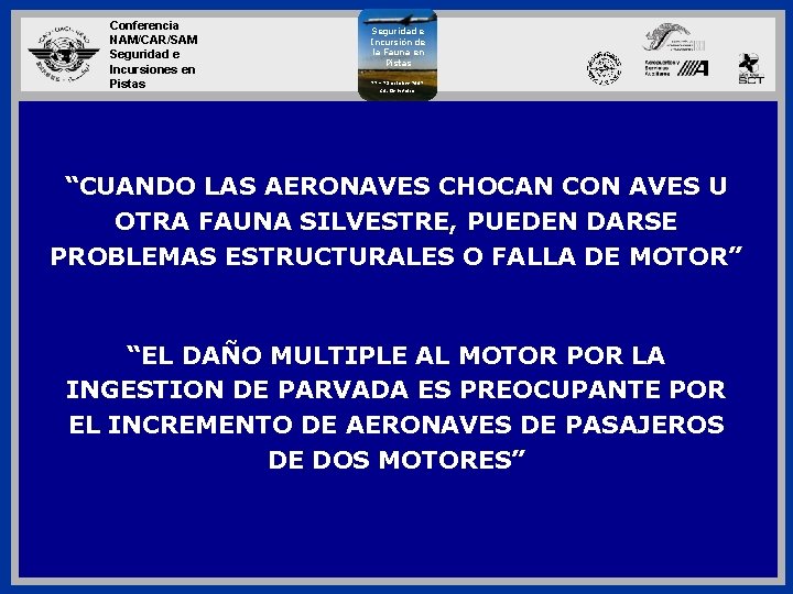 Conferencia NAM/CAR/SAM Seguridad e Incursiones en Pistas Seguridad e Incursión de la Fauna en Conferencia NAM/CAR/SAM Seguridad e Incursiones en Pistas Seguridad e Incursión de la Fauna en