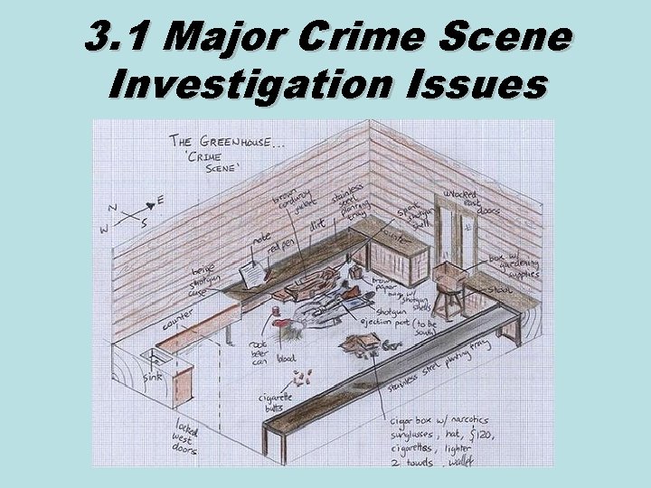 3. 1 Major Crime Scene Investigation Issues 