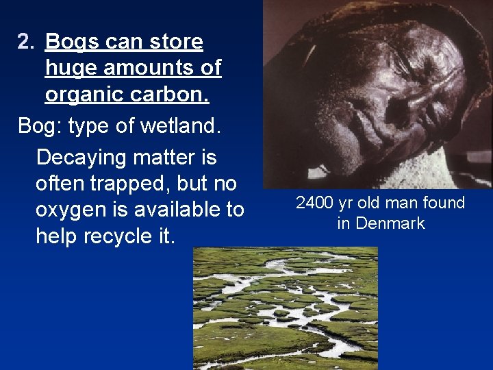 2. Bogs can store huge amounts of organic carbon. Bog: type of wetland. Decaying