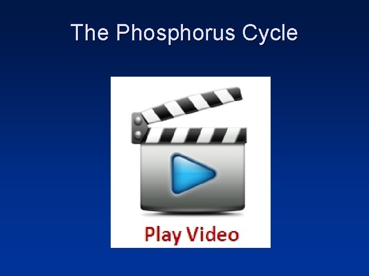 The Phosphorus Cycle 