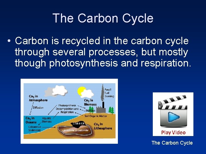 The Carbon Cycle • Carbon is recycled in the carbon cycle through several processes,