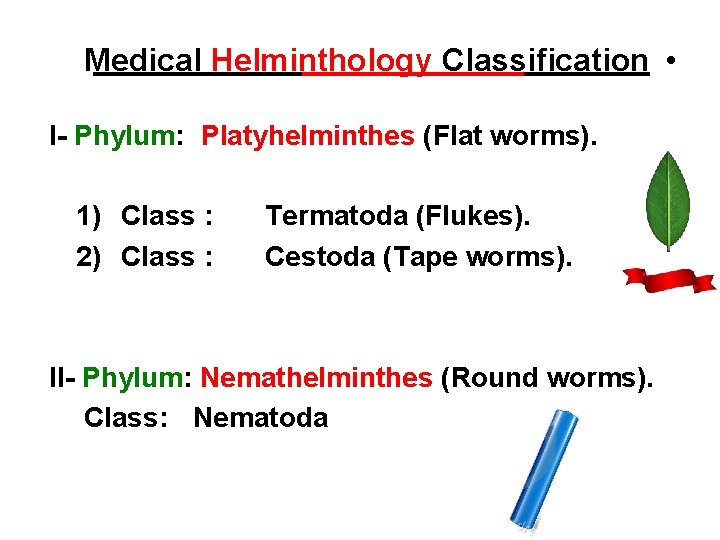 Medical Helminthology Classification • I- Phylum: Platyhelminthes (Flat worms). 1) Class : 2) Class