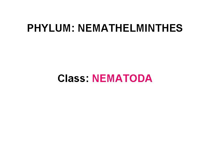 PHYLUM: NEMATHELMINTHES Class: NEMATODA 