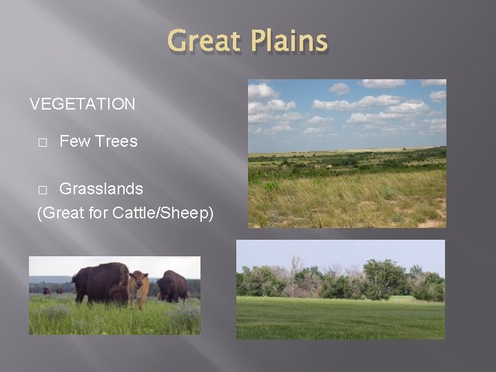 Great Plains VEGETATION � Few Trees Grasslands (Great for Cattle/Sheep) � 