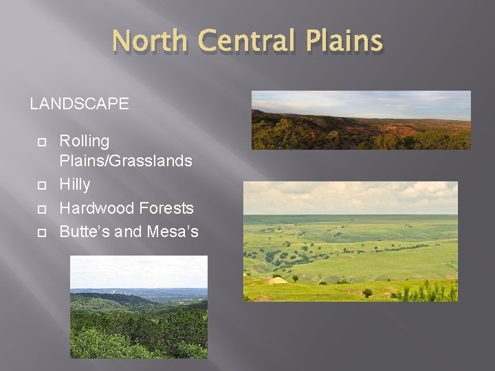 North Central Plains LANDSCAPE Rolling Plains/Grasslands Hilly Hardwood Forests Butte’s and Mesa’s 