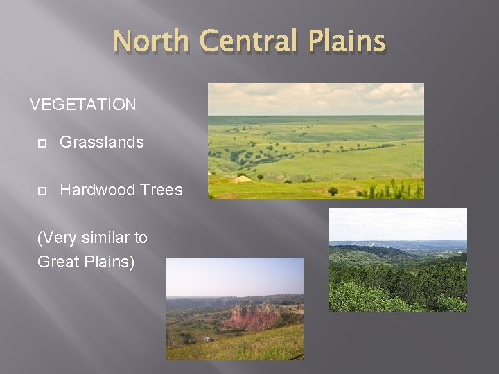North Central Plains VEGETATION Grasslands Hardwood Trees (Very similar to Great Plains) 
