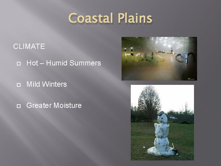 Coastal Plains CLIMATE Hot – Humid Summers Mild Winters Greater Moisture 