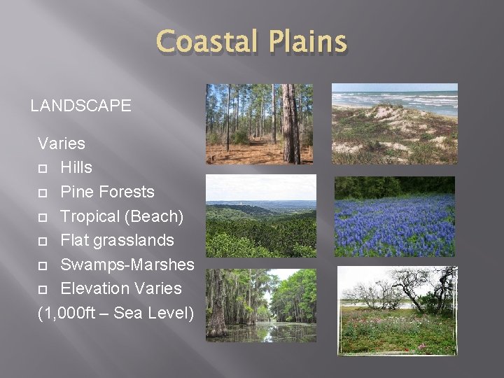 Coastal Plains LANDSCAPE Varies Hills Pine Forests Tropical (Beach) Flat grasslands Swamps-Marshes Elevation Varies