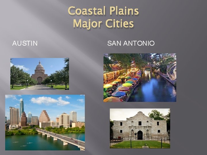 Coastal Plains Major Cities AUSTIN SAN ANTONIO 