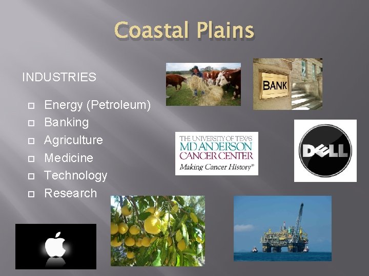 Coastal Plains INDUSTRIES Energy (Petroleum) Banking Agriculture Medicine Technology Research 