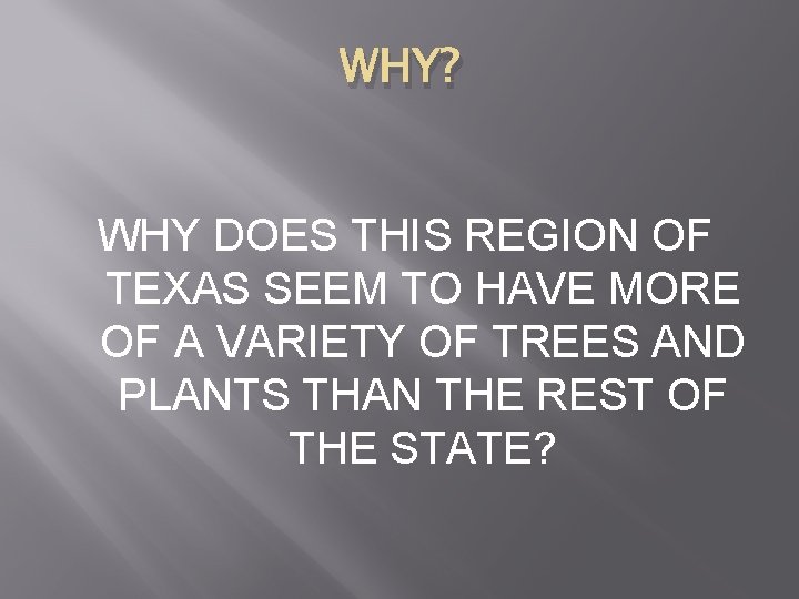 WHY? WHY DOES THIS REGION OF TEXAS SEEM TO HAVE MORE OF A VARIETY