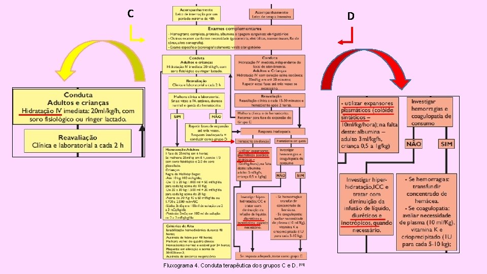 C D Fluxograma 4. Conduta terapêutica dos grupos C e D. [11] 