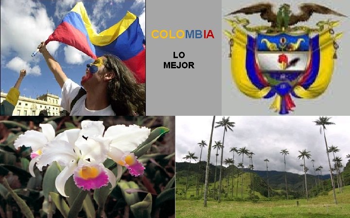 COLOMBIA LO MEJOR 1 