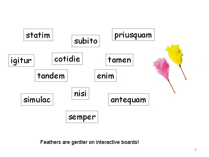 statim subito cotidie igitur tandem simulac priusquam tamen enim nisi antequam semper Feathers are