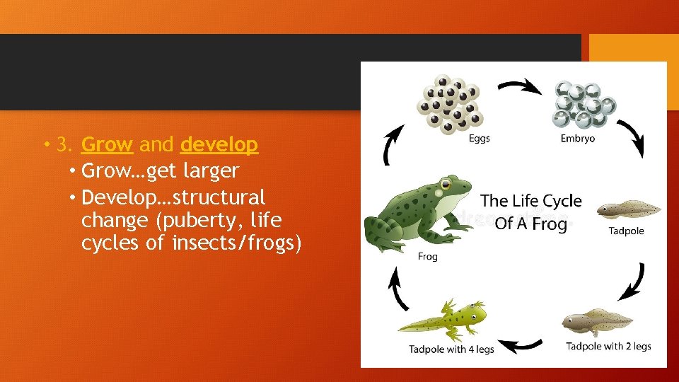  • 3. Grow and develop • Grow…get larger • Develop…structural change (puberty, life