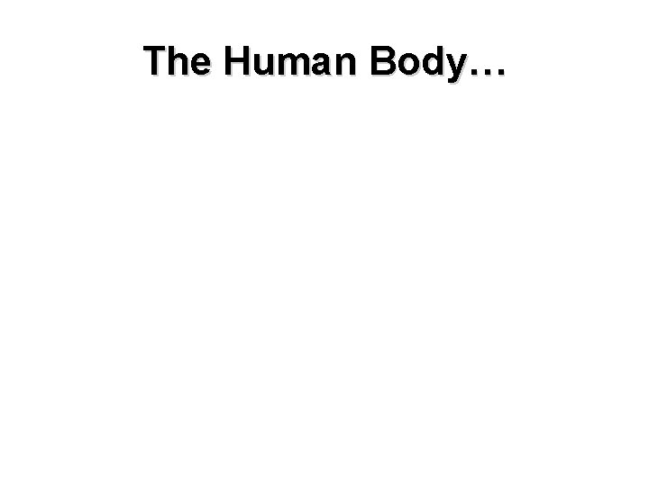 The Human Body… 