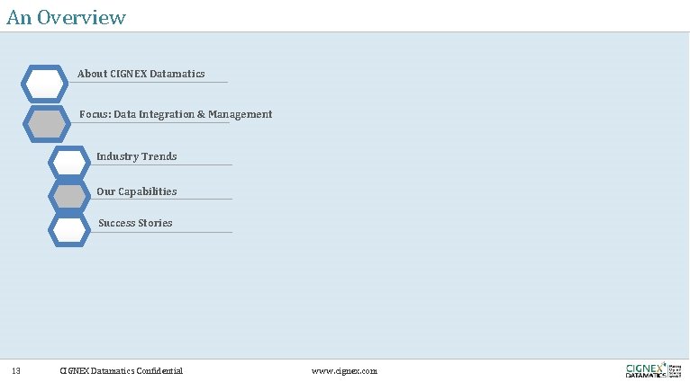 An Overview About CIGNEX Datamatics Focus: Data Integration & Management Industry Trends Our Capabilities