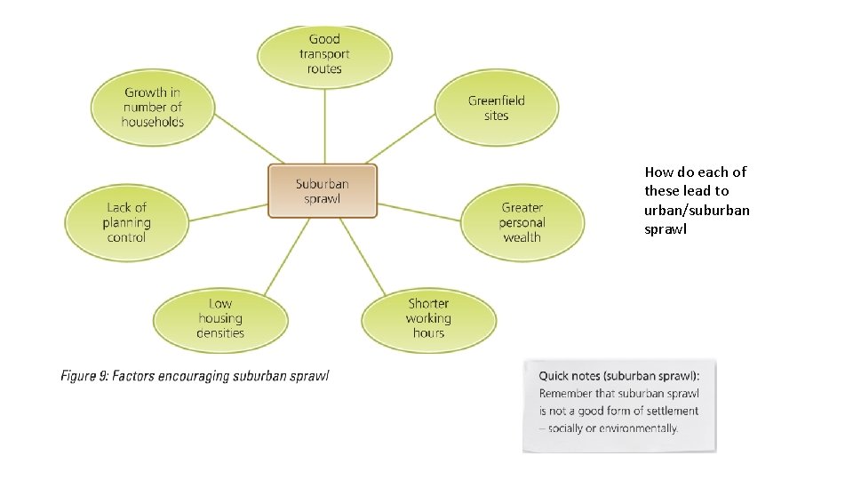 How do each of these lead to urban/suburban sprawl 