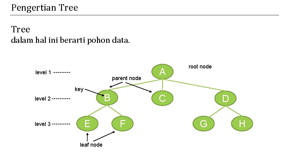 Pengertian Tree dalam hal ini berarti pohon data. level 1 parent node A root