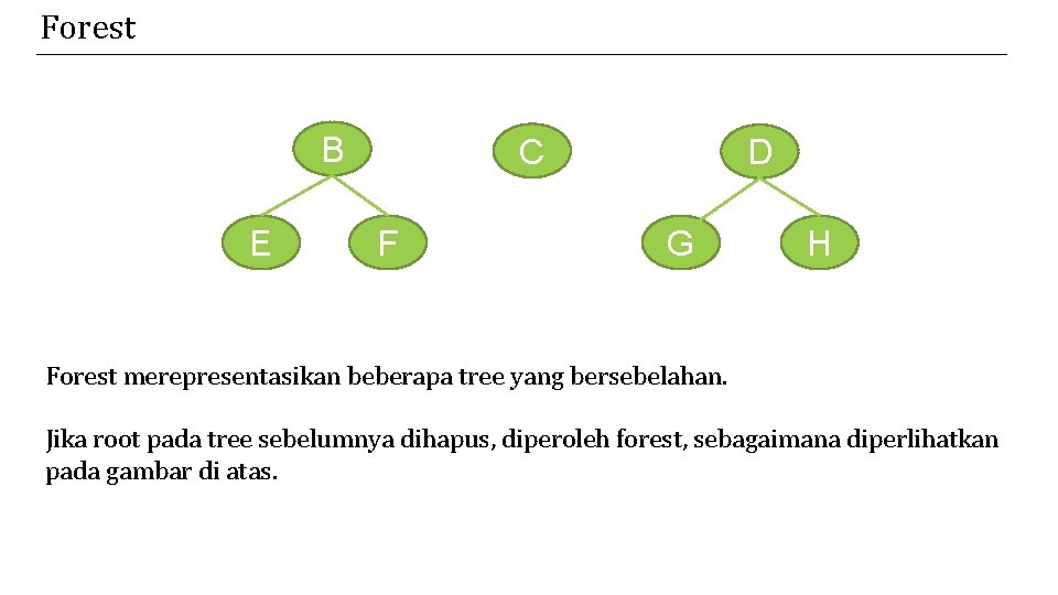 Forest B E C F D G H Forest merepresentasikan beberapa tree yang bersebelahan.