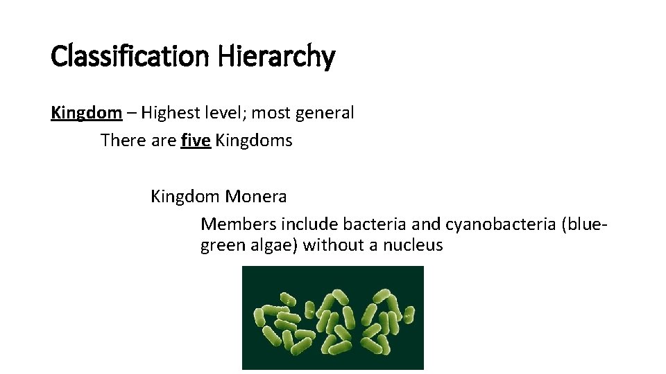 Classification Hierarchy Kingdom – Highest level; most general There are five Kingdoms Kingdom Monera