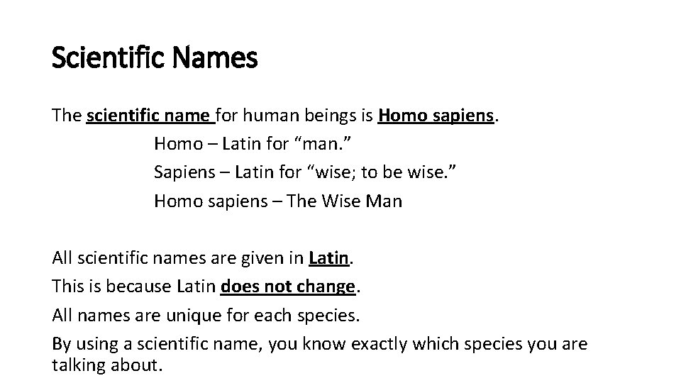 Scientific Names The scientific name for human beings is Homo sapiens. Homo – Latin