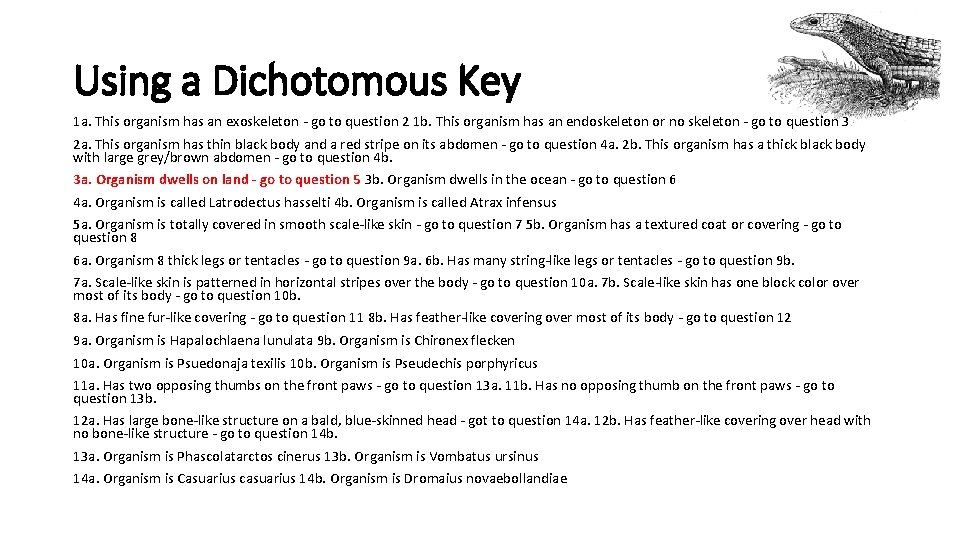 Using a Dichotomous Key 1 a. This organism has an exoskeleton - go to