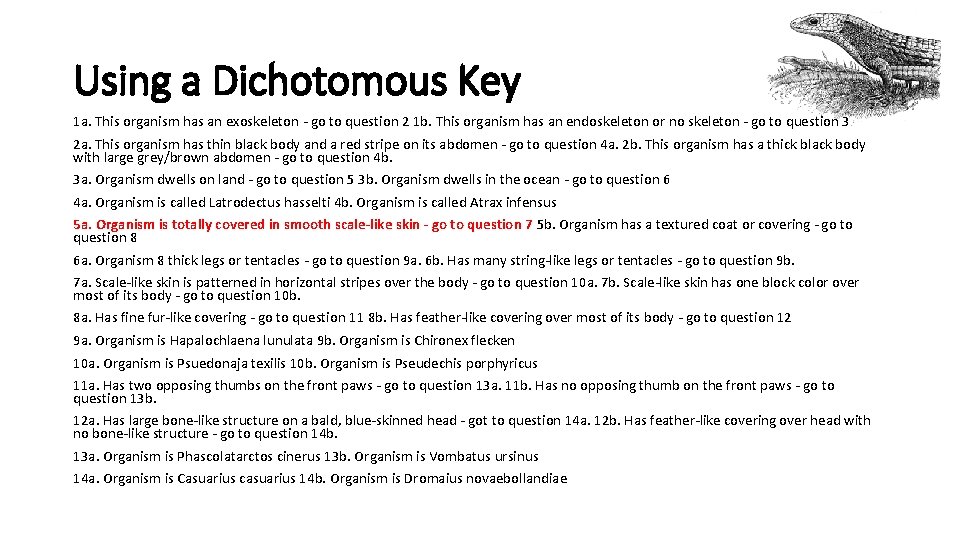 Using a Dichotomous Key 1 a. This organism has an exoskeleton - go to