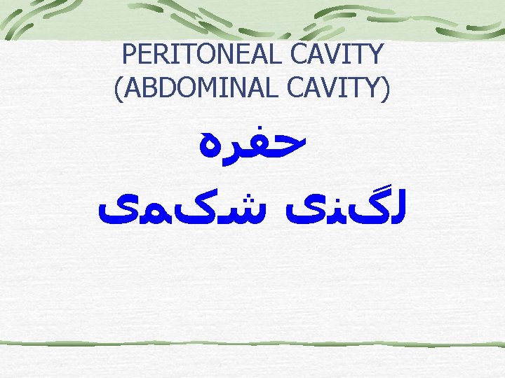 PERITONEAL CAVITY (ABDOMINAL CAVITY) ﺣﻔﺮﻩ ﻟگﻨی ﺷکﻤی 