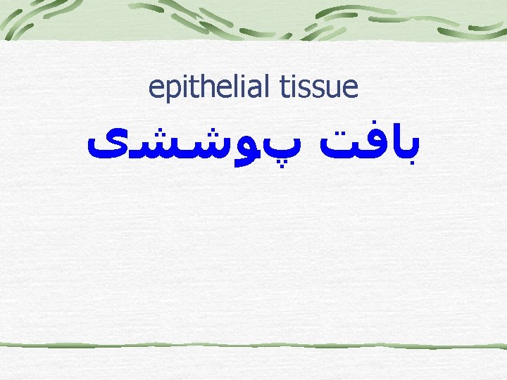 epithelial tissue ﺑﺎﻓﺖ پﻮﺷﺸی 