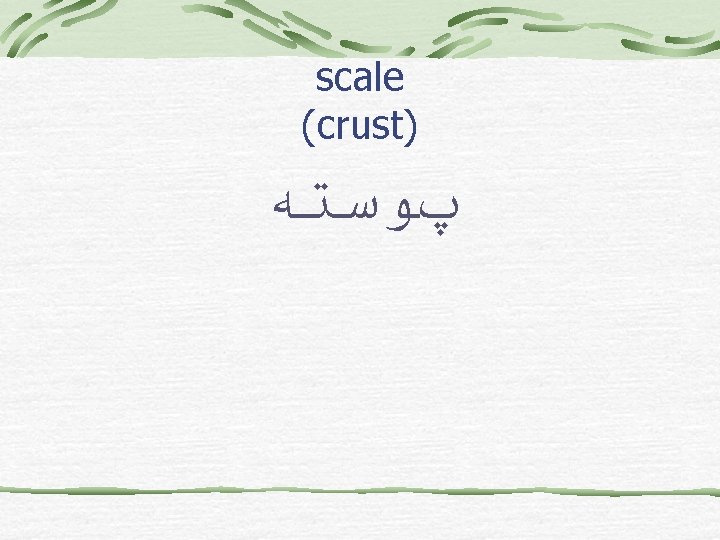 scale (crust) پﻮﺳﺘﻪ 