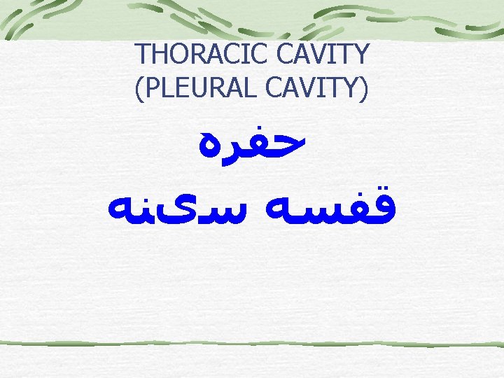 THORACIC CAVITY (PLEURAL CAVITY) ﺣﻔﺮﻩ ﻗﻔﺴﻪ ﺳیﻨﻪ 