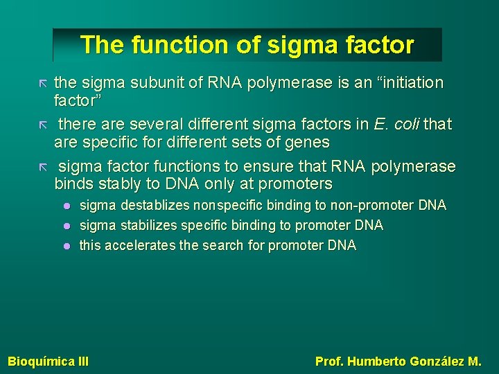 The function of sigma factor the sigma subunit of RNA polymerase is an “initiation