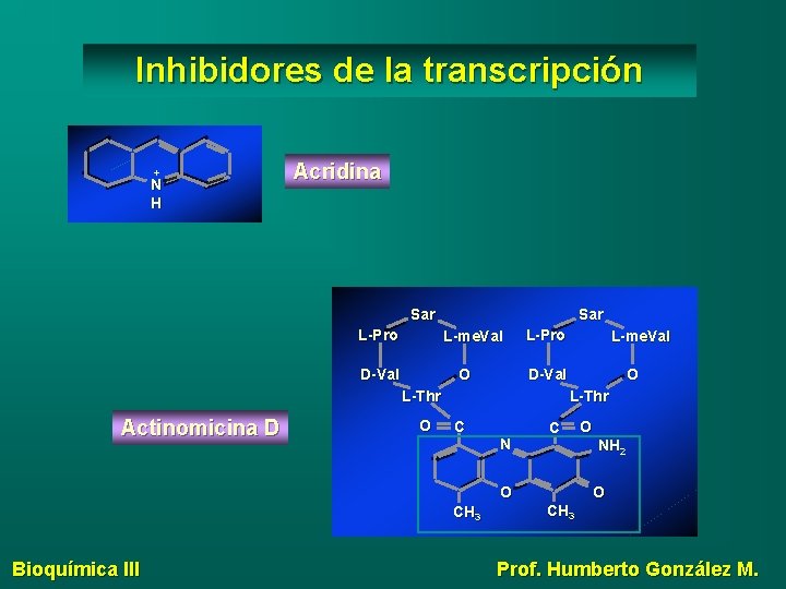 Inhibidores de la transcripción + N H Acridina Sar L-Pro Sar L-me. Val D-Val