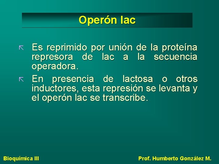 Operón lac Es reprimido por unión de la proteína represora de lac a la