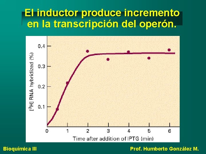 El inductor produce incremento en la transcripción del operón. Bioquímica III Prof. Humberto González