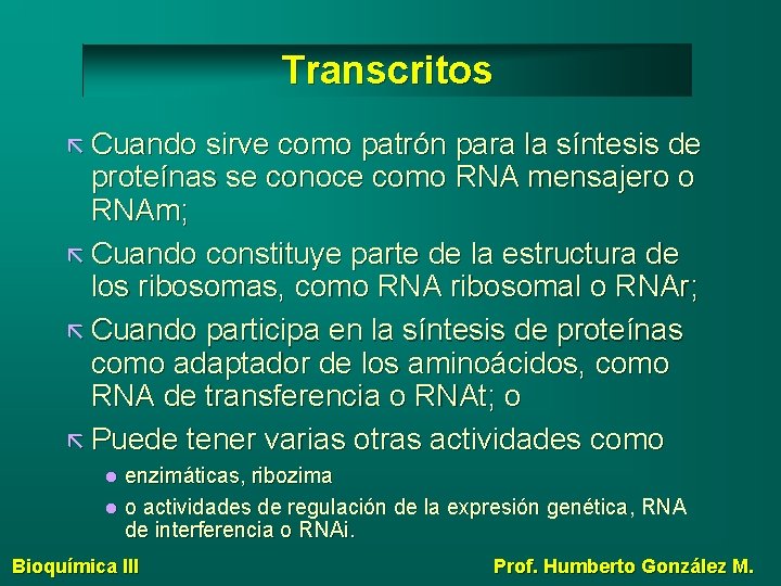 Transcritos Cuando sirve como patrón para la síntesis de proteínas se conoce como RNA
