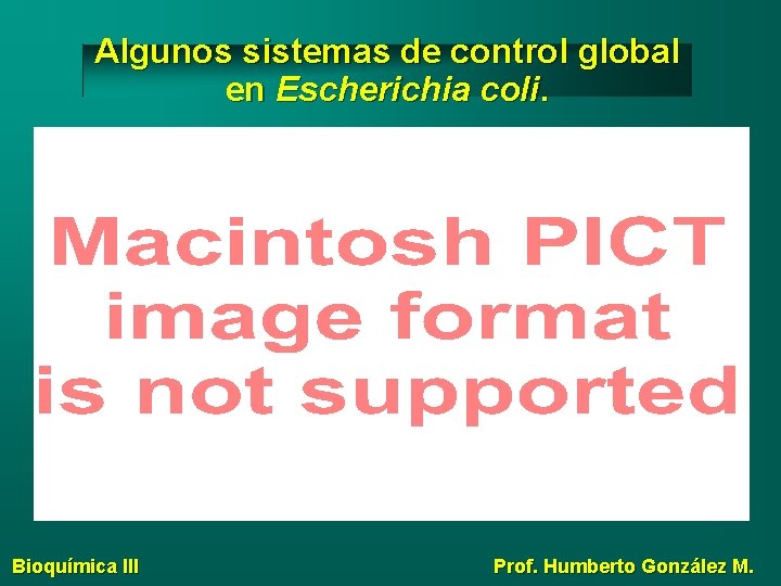 Algunos sistemas de control global en Escherichia coli. Bioquímica III Prof. Humberto González M.