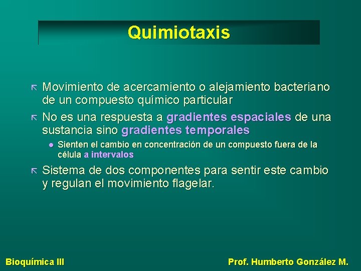 Quimiotaxis Movimiento de acercamiento o alejamiento bacteriano de un compuesto químico particular No es