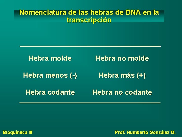 Nomenclatura de las hebras de DNA en la transcripción Hebra molde Hebra no molde