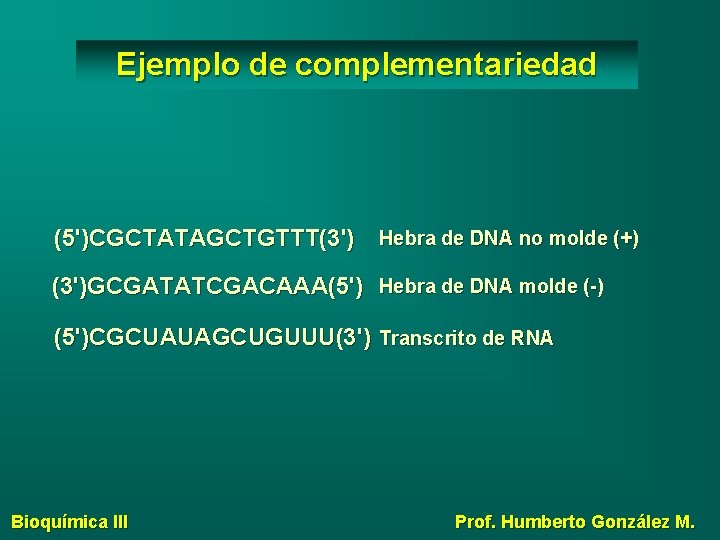 Ejemplo de complementariedad (5')CGCTATAGCTGTTT(3') Hebra de DNA no molde (+) (3')GCGATATCGACAAA(5') Hebra de DNA