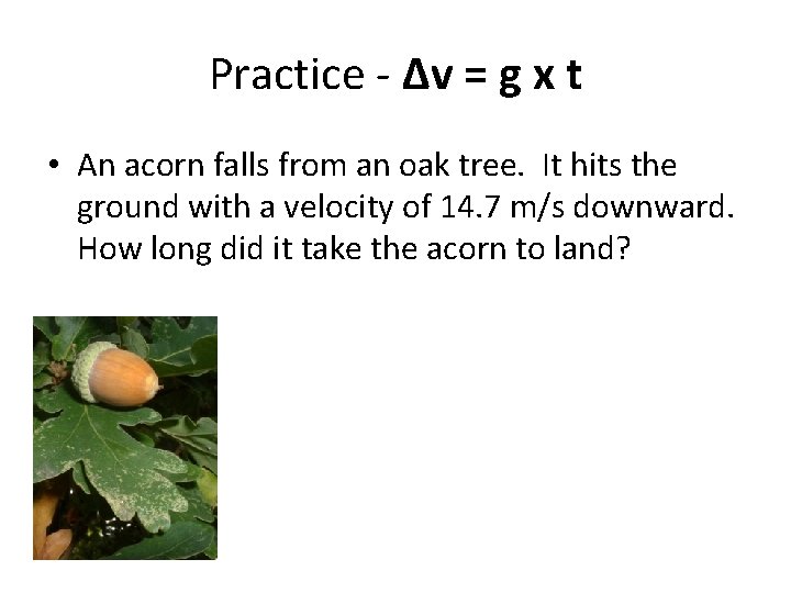 Practice - Δv = g x t • An acorn falls from an oak