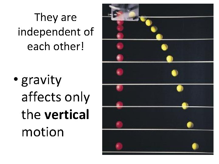 They are independent of each other! • gravity affects only the vertical motion 