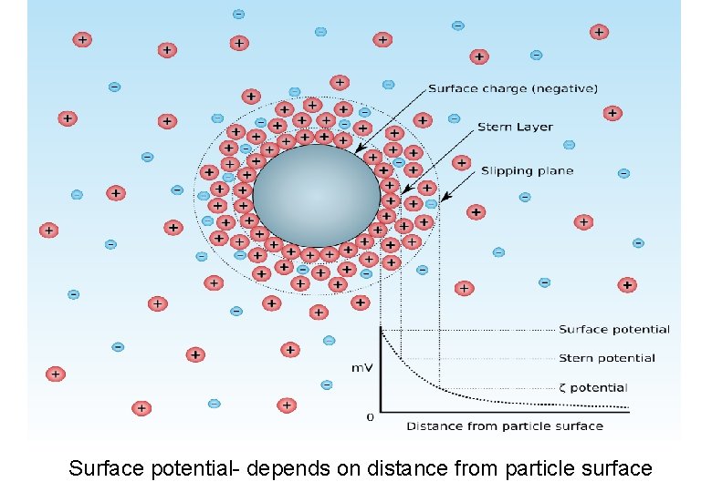 Surface potential- depends on distance from particle surface 